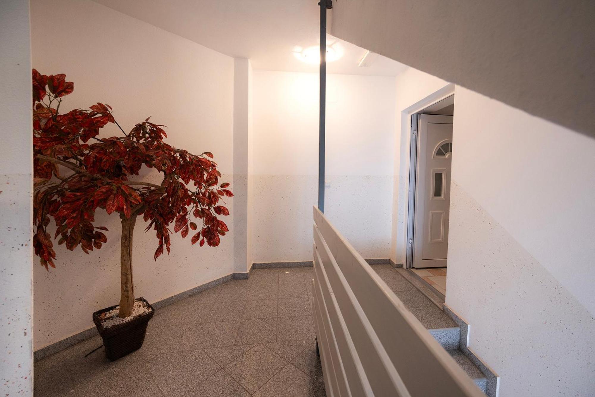 Grom Ribno Apartments Bled Extérieur photo